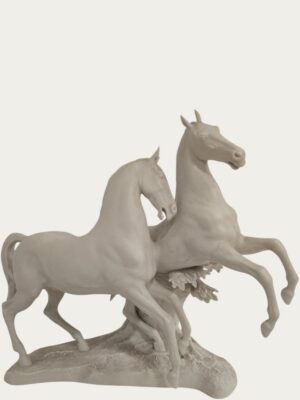 Pareja de caballos al galope
